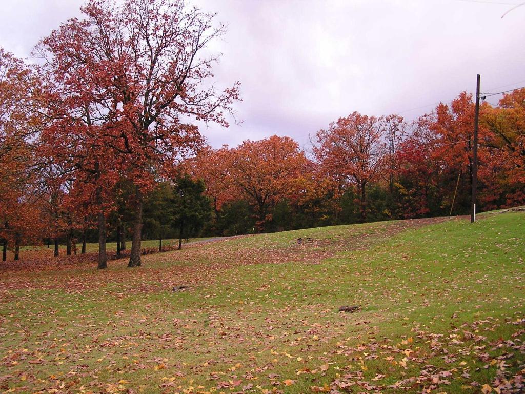 Lampe Mill Creek Resort On Table Rock Lake المظهر الخارجي الصورة